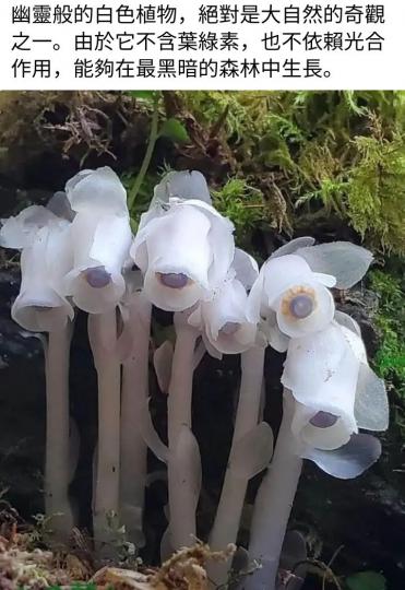 20853