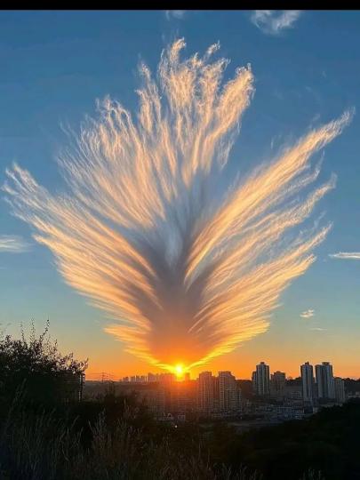 21850