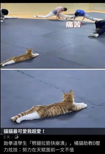 23411
