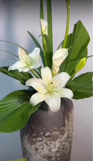 23AE0803-8A23-45B4-A63B-6B88FB076260-1088-0000001014CD9D64