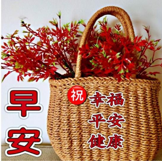 23BED0F2-DF35-40CB-B5B2-E4855D1E6C71-29701-00000770664E8664