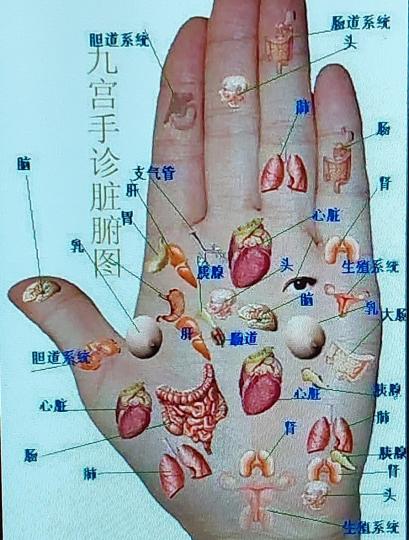 27131