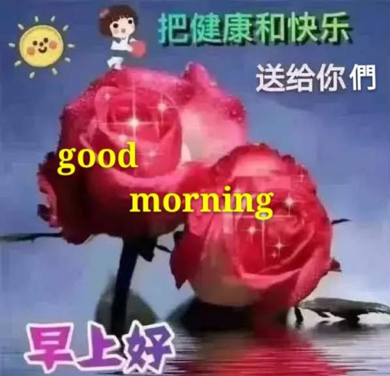 279405144