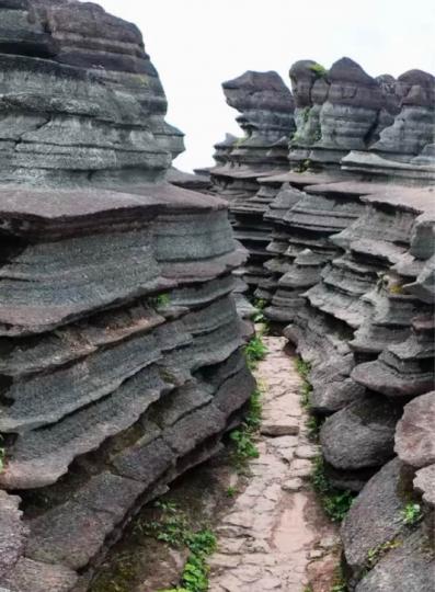 2B7F6DE3-CD7A-4649-B93C-6DFD854D8940-779-0000000C27F2689E