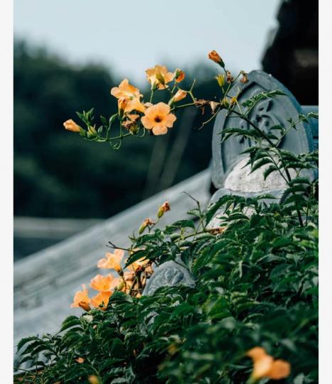 2EE0B859-0F77-4F3A-8583-29CC124B88E6-9931-0000028FF6A97C72