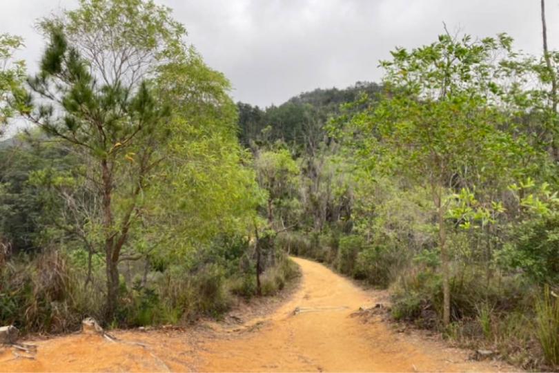 2FABE523-20E6-4BD4-8BF5-0889779B2B8F-616-000000E28450D563