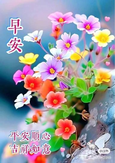 31348540-F32B-4EE0-8FE8-140F78239AE9-11251-000001B9BCE6554B