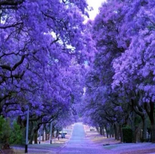 3504B024-02B4-46A2-9058-FDEAEACEC559-1375-000000487E07F01E