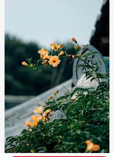 38FA52EB-F149-44D8-8451-597F978F0CE6-20527-000006E00AFCFD15