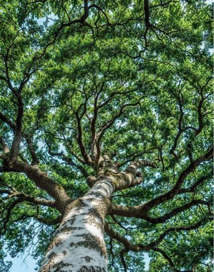 3C8B1CBA-6813-4EB3-A0FF-D5176CFC3096-1434-000000E3661F587B