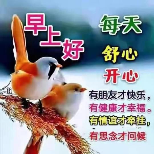 40004