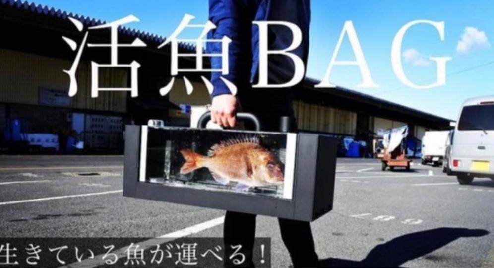 473F2A8C-6B07-4C92-A41B-FA46AE8BFA8A-746-00000027A33101B5