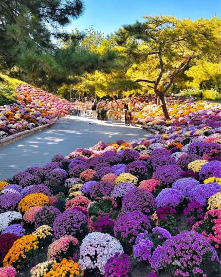 486C7020-9D09-4250-9397-D7A17E4B9840-726-0000011DE034C102