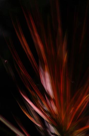 495954CB-37A3-43D7-A466-9D8602156589-829-0000000F119ED3F9