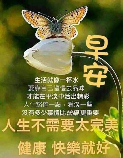 4b250ba4-d91c-4919-b752-b113053a4f77-1_all_16659