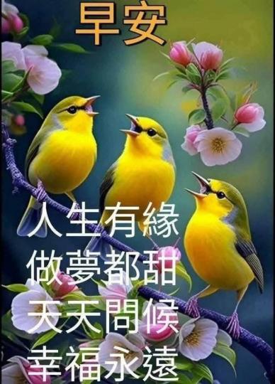 4b250ba4-d91c-4919-b752-b113053a4f77-1_all_28534