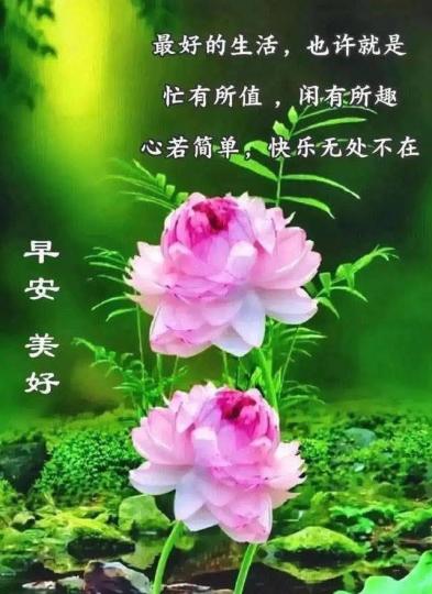 4b250ba4-d91c-4919-b752-b113053a4f77-1_all_28826