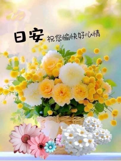 4b250ba4-d91c-4919-b752-b113053a4f77-1_all_28845