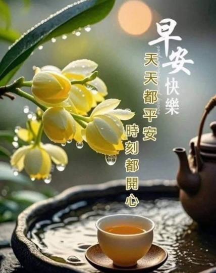 4b250ba4-d91c-4919-b752-b113053a4f77-1_all_28950