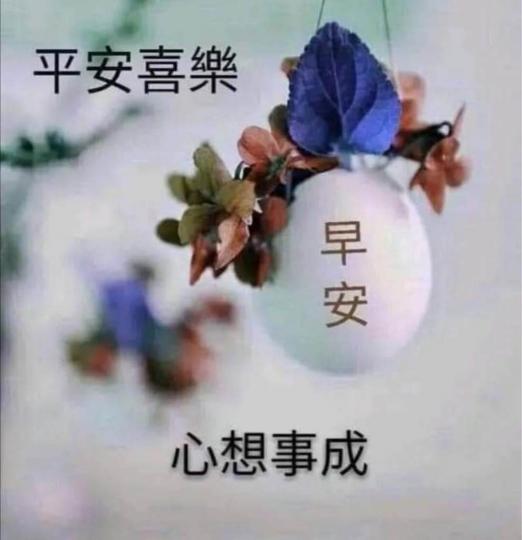 51830744-A1E7-4312-8B3E-71CA42DA8F2F-1279-00000026375B897A