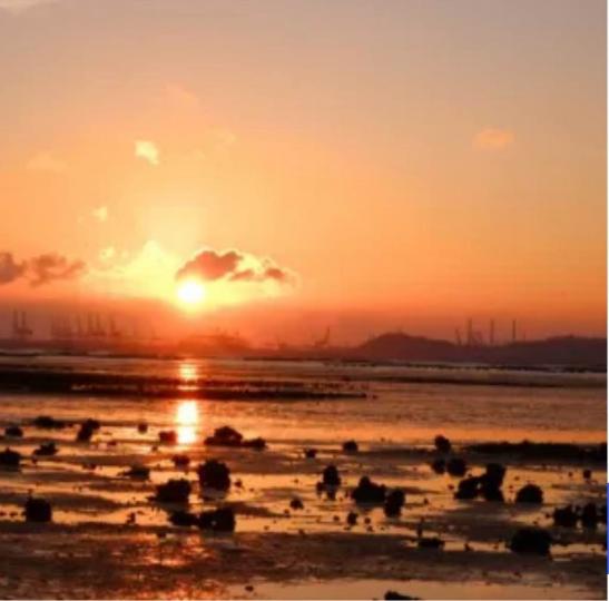 5F945BE2-66D4-40DE-BACF-90A459F38DA4-1492-000000295DD6BDDF