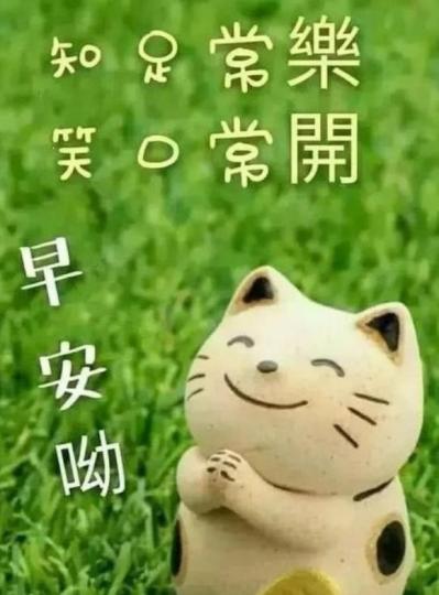 6401