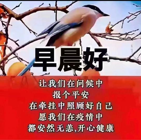 68236F87-B458-499D-83C9-88784F9D4DC6-16924-0000084E7041CD37