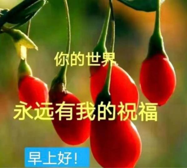 6FD4413A-7DD9-48B5-9F7C-030ABF81DC28-9866-000005C9659F4783