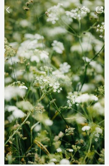 73B276EC-5259-41DD-8160-A5E5CBE72817-651-00000011ADE86C8B