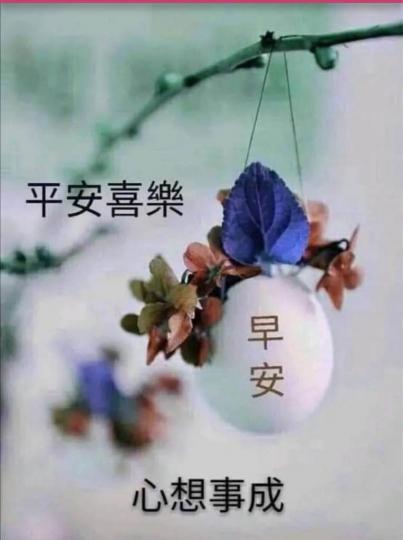 75ED43AD-8287-4F2A-ADA6-8CCF54E62D95-1409-000000D34C6BBB28