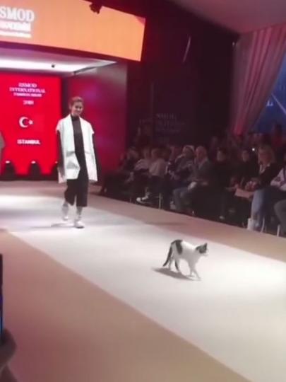 7761