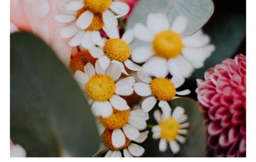 79F71736-04AD-424C-AA9E-F40579C6C373-6634-0000023AE1B64C5A