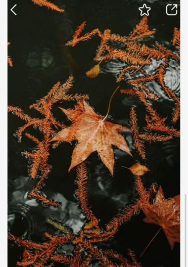 7B208CE8-E65F-40F5-8F83-7A51B85F0130-13213-0000048D7F25AC3E