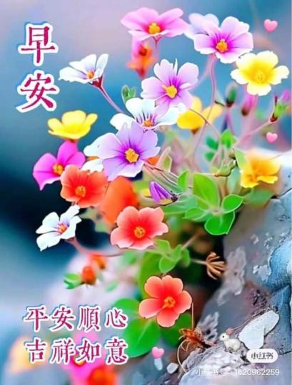 7BBA2DF6-6F90-4F49-AB09-2A786A3A1EA5-31496-0000057C6C60D5E5