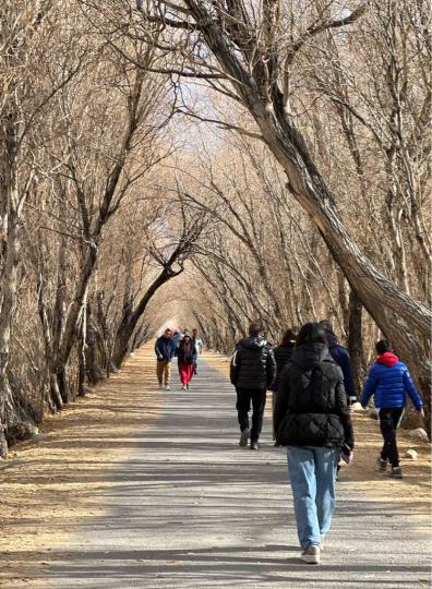 7D967B2A-41C7-4ACF-8D65-EAD4AFB0146B-3895-0000009B7C647D29