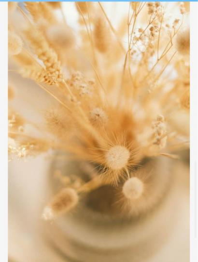 8035273A-8512-4F56-8ED4-FC8874AA89D8-9931-0000028F8395BB81