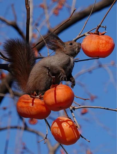 853D21A4-DD0C-4101-9ABF-3B57AFF3E818-1627-0000002A29CF782D