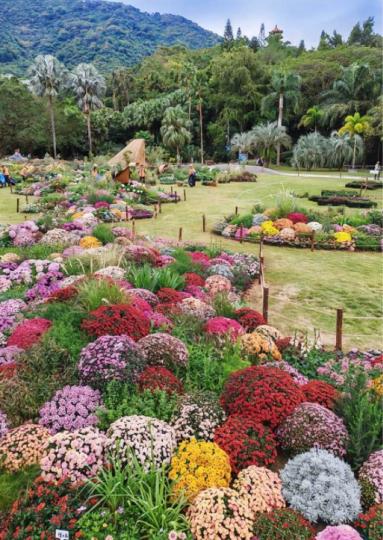 8569326B-DF71-4342-A785-5FE31BB4EA43-1434-0000001FEEAD0221