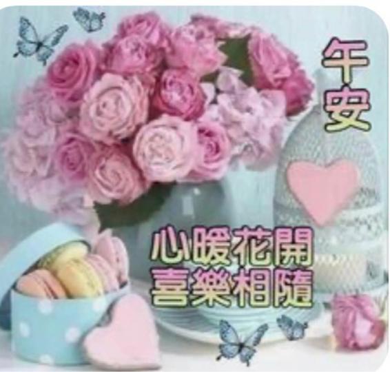 892A9C3E-5A37-459D-A538-1CA20678D156-14968-000007466C27A22C