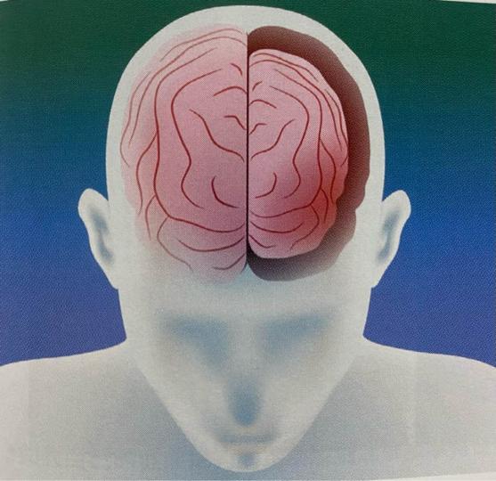 8CD45E64-384F-4AAF-BAC9-305372474F9B-288-000000025E755BA4