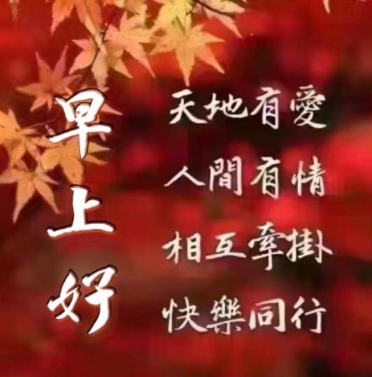 9382211A-3BBE-413D-B3BC-4A588D723F9C-15805-000008E42A5D8A4B