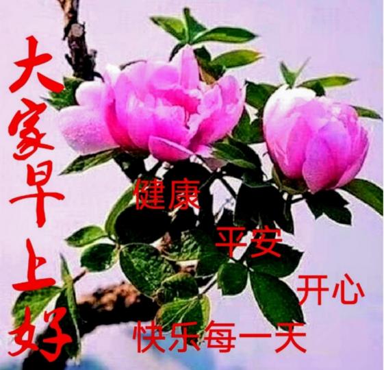 9808
