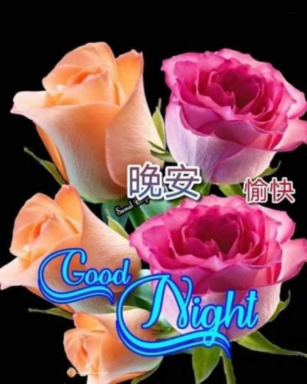 98f90ddf-9e81-4692-ae6b-d6f90c698611-1_all_18698