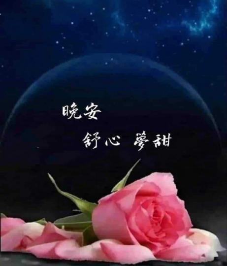 98f90ddf-9e81-4692-ae6b-d6f90c698611-1_all_18729
