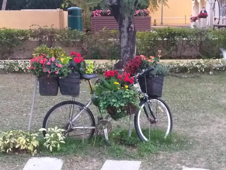 992662438