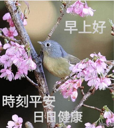9BE7210D-3D71-4BD3-BF9B-A0DF3072B008-8180-00000347BEA5E465