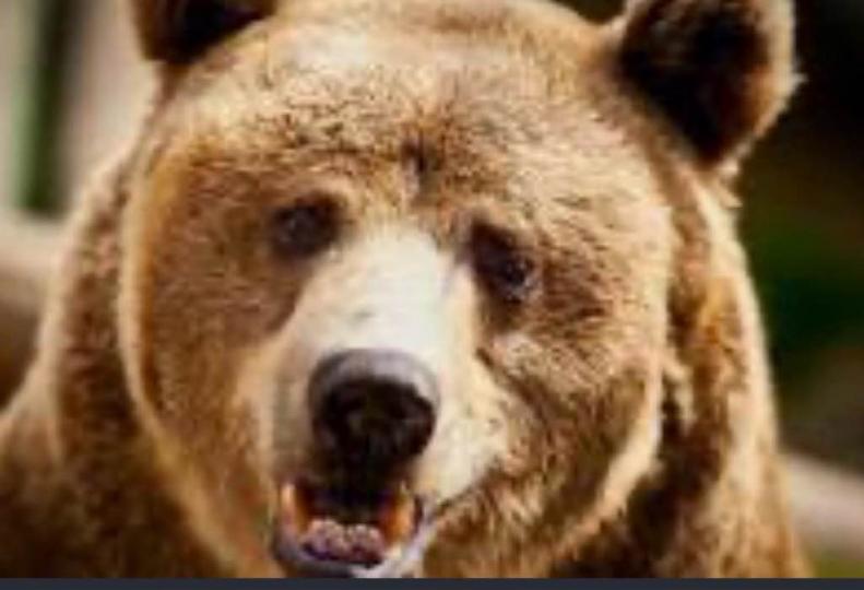 AD9CD633-C1FA-42A0-8CE1-9555F5F00512-1874-00000028A39FBEC8