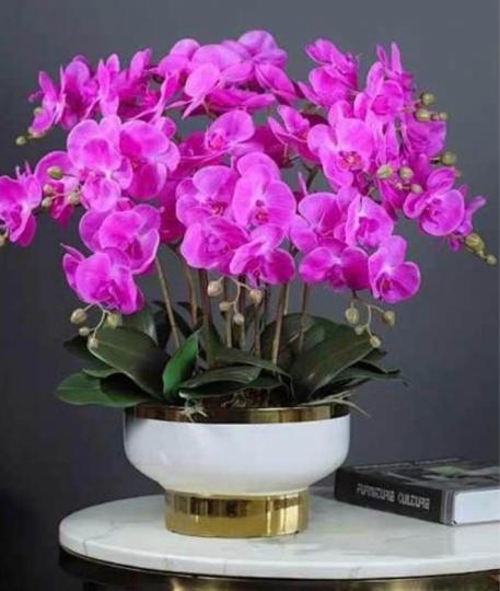 B45325D2-731C-427A-B722-E2E77853247D-1492-0000002679602343