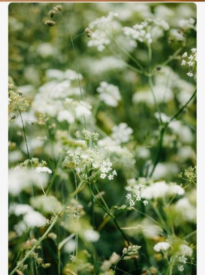 B6A76199-8726-4AF2-AF08-769C40AE5127-8709-000001A1FF7DC1CD