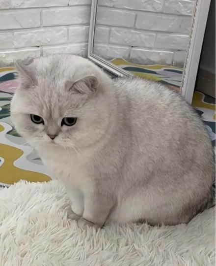 B76E5E4B-BBCB-4658-AE68-D82DB8E26ABC-1434-00000020385B6B51